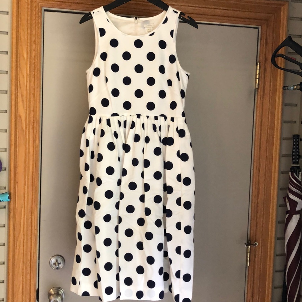 J. Crew Polka Dot Dress